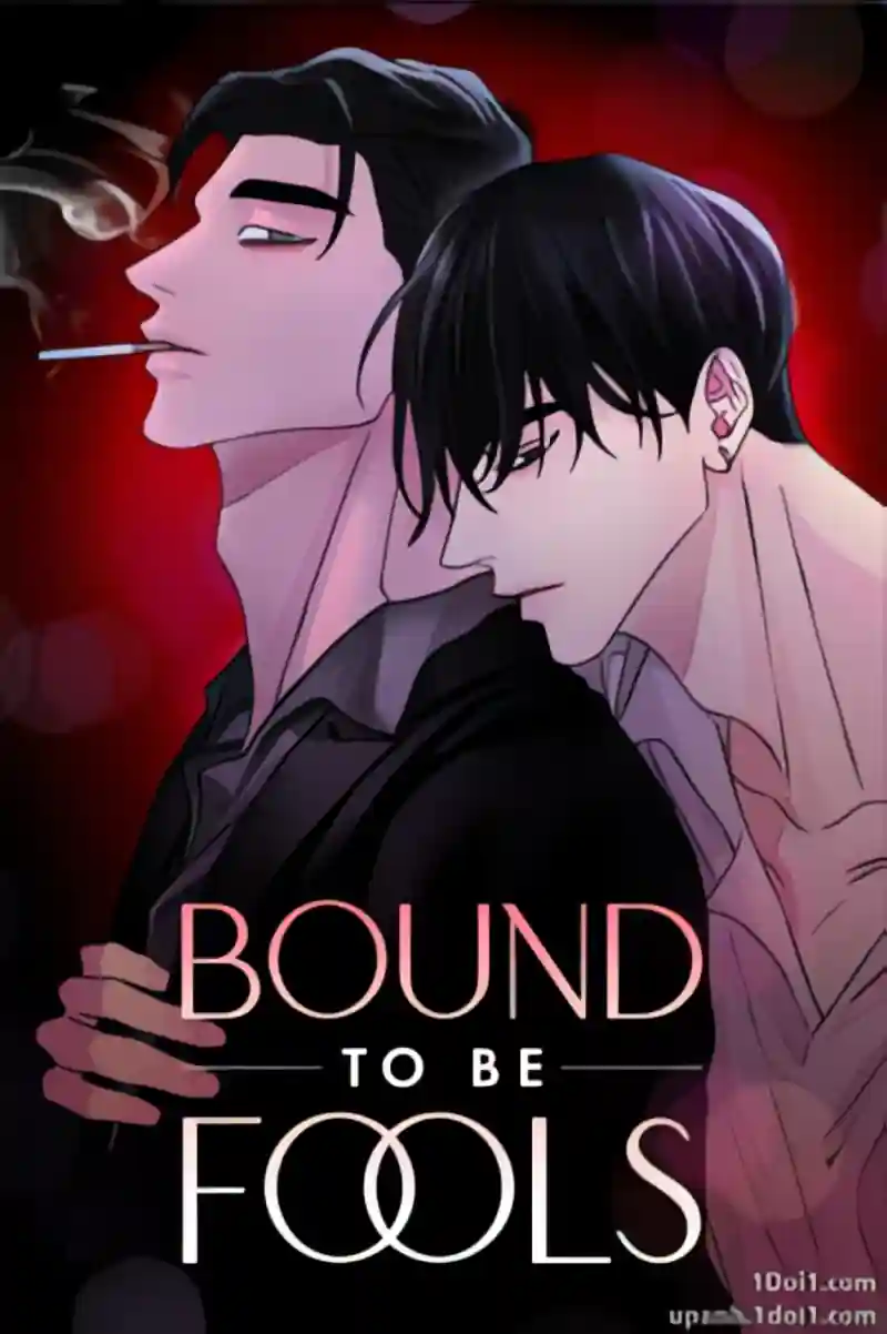 Bound to Be Fools cover
